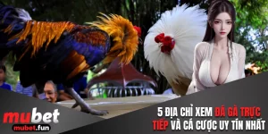 Đá gà trực tiếp