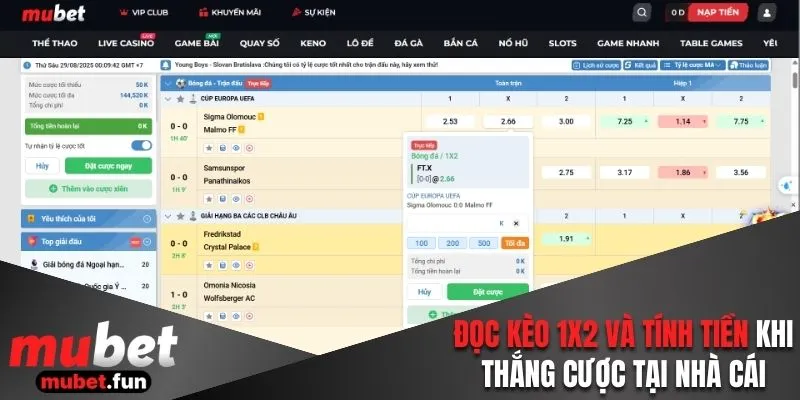 Đọc kèo 1x2 và tính tiền khi thắng cược tại nhà cái