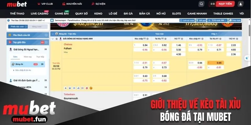 Giới thiệu về kèo tài xỉu bóng đá tại Mubet